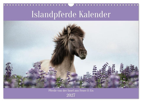 Islandpferde Kalender (Wandkalender 2027 DIN A3 quer), CALVENDO Monatskalender