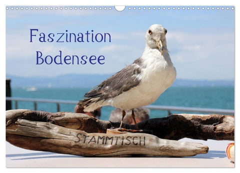 Faszination Bodensee (Wandkalender 2027 DIN A3 quer), CALVENDO Monatskalender