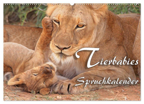 Tierbabies - Spruchkalender (Wandkalender 2027 DIN A2 quer), CALVENDO Monatskalender