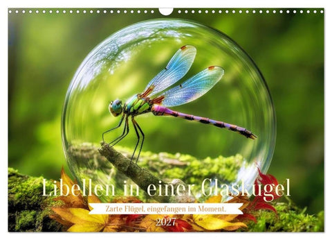 Libellen in einer Glaskugel (Wandkalender 2027 DIN A3 quer), CALVENDO Monatskalender