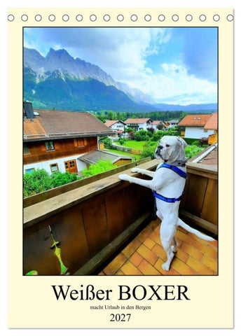 Weißer BOXER im Urlaub (Tischkalender 2027 DIN A5 hoch), CALVENDO Monatskalender