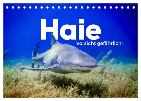 Haie - Vorsicht gefährlich! (Tischkalender 2027 DIN A5 quer), CALVENDO Monatskalender