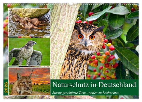 Naturschutz in Deutschland (Wandkalender 2026 DIN A2 quer), CALVENDO Monatskalender