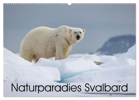 Naturparadies Svalbard (Wandkalender 2027 DIN A2 quer), CALVENDO Monatskalender