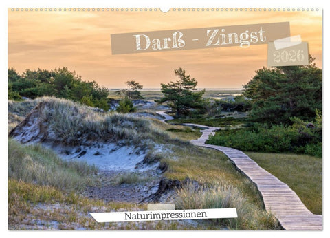 Darß-Zingst Naturimpressionen (Wandkalender 2026 DIN A2 quer), CALVENDO Monatskalender