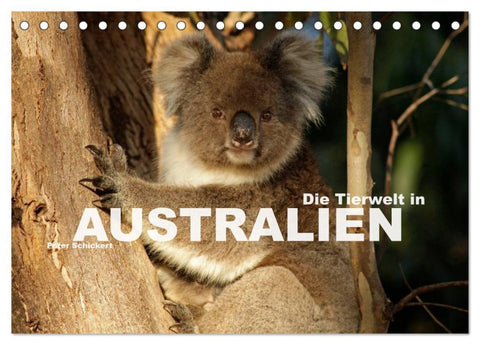 Die Tierwelt in Australien (Tischkalender 2026 DIN A5 quer), CALVENDO Monatskalender