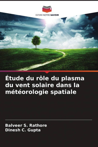 Étude du rôle du plasma du vent solaire dans la météorologie spatiale