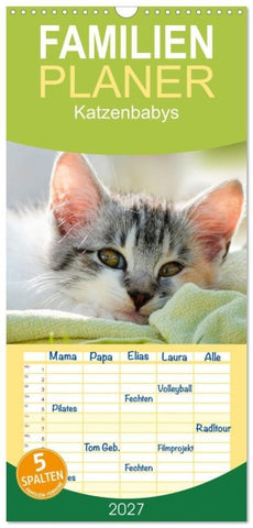 Familienplaner 2027 - Katzenbabys mit 5 Spalten (Wandkalender, 21 x 45 cm) CALVENDO