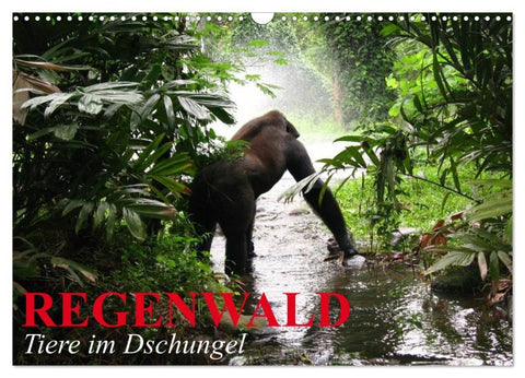 Regenwald ¿ Tiere im Dschungel (Wandkalender 2027 DIN A3 quer), CALVENDO Monatskalender