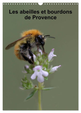 Les abeilles et bourdons de Provence (Calendrier mural 2026 DIN A3 horizontal), CALVENDO calendrier mensuel
