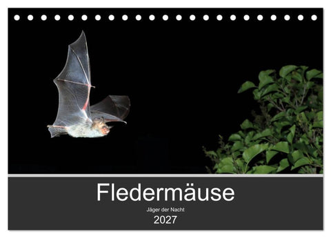 Fledermäuse - Jäger der Nacht (Tischkalender 2027 DIN A5 quer), CALVENDO Monatskalender