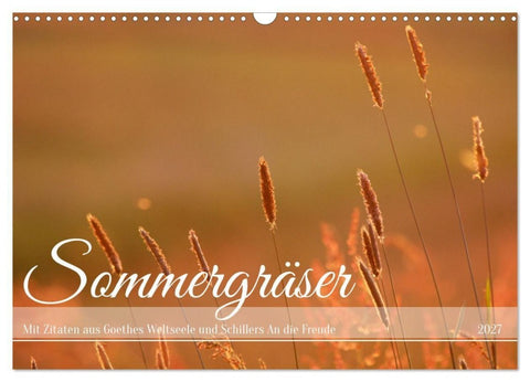 Sommergräser (Wandkalender 2027 DIN A3 quer), CALVENDO Monatskalender