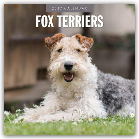 Fox Terriers – Foxterrier 2027 – 16-Monatskalender