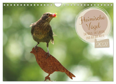 Heimische Vögel - Im Wald, im Garten und auf der Wiese (Wandkalender 2027 DIN A4 quer), CALVENDO Monatskalender
