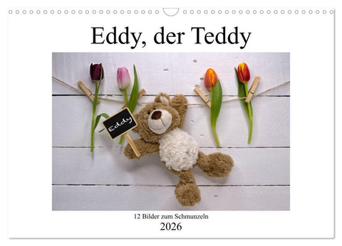 Eddy, der Teddy - 12 Bilder zum Schmunzeln (Wandkalender 2026 DIN A3 quer), CALVENDO Monatskalender