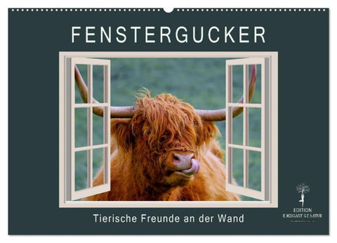 Fenstergucker - tierische Freunde an der Wand (Wandkalender 2027 DIN A2 quer), CALVENDO Monatskalender