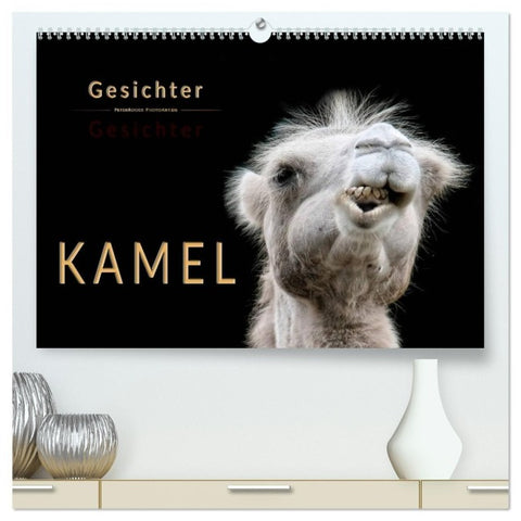 Kamel Gesichter (hochwertiger Premium Wandkalender 2027 DIN A2 quer), Kunstdruck in Hochglanz