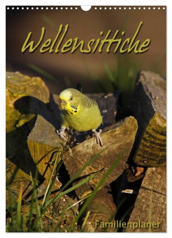 Wellensittiche (Wandkalender 2027 DIN A3 hoch), CALVENDO Monatskalender