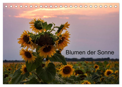 Blumen der Sonne (Tischkalender 2027 DIN A5 quer), CALVENDO Monatskalender