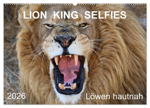 LION KING SELFIES Löwen hautnah (Wandkalender 2026 DIN A2 quer), CALVENDO Monatskalender
