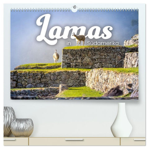 Lamas in Südamerika (hochwertiger Premium Wandkalender 2026 DIN A2 quer), Kunstdruck in Hochglanz