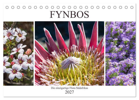 Fynbos - Die einzigartige Flora Südafrikas (Tischkalender 2027 DIN A5 quer), CALVENDO Monatskalender