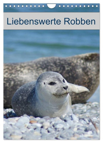 Liebenswerte Robben (Wandkalender 2027 DIN A4 hoch), CALVENDO Monatskalender