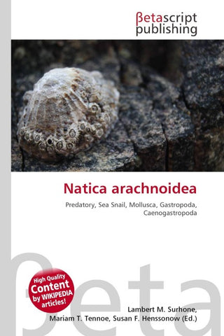 Natica arachnoidea