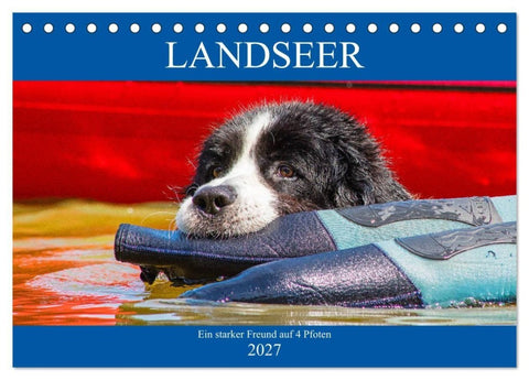 Landseer - Ein starker Freund auf 4 Pfoten (Tischkalender 2027 DIN A5 quer), CALVENDO Monatskalender