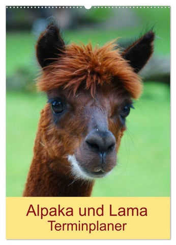 Alpaka und Lama Terminplaner (Wandkalender 2027 DIN A2 hoch), CALVENDO Monatskalender