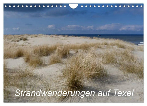 Strandwanderungen auf Texel (Wandkalender 2026 DIN A4 quer), CALVENDO Monatskalender
