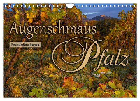 Augenschmaus Pfalz (Wandkalender 2026 DIN A4 quer), CALVENDO Monatskalender