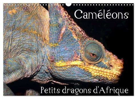 Caméléons - Petits dragons d'Afrique. (Calendrier mural 2027 DIN A3 vertical), CALVENDO calendrier mensuel