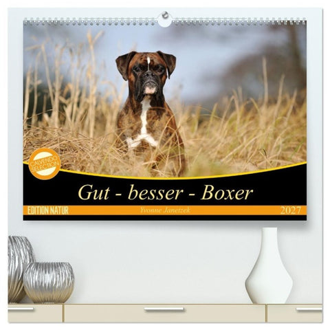 Gut - besser - Boxer (hochwertiger Premium Wandkalender 2027 DIN A2 quer), Kunstdruck in Hochglanz