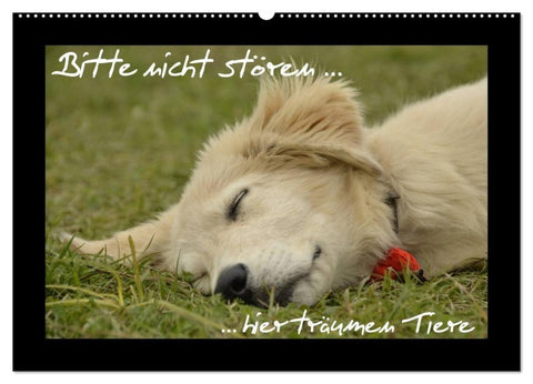 Bitte nicht stören... hier träumen Tiere (Wandkalender 2026 DIN A2 quer), CALVENDO Monatskalender