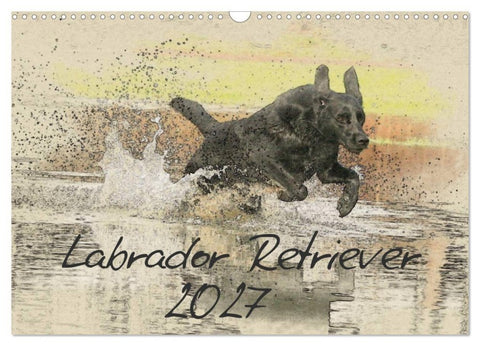 Labrador Retriever 2027 (Wandkalender 2027 DIN A3 quer), CALVENDO Monatskalender
