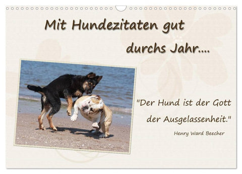 Mit Hundezitaten gut durchs Jahr / CH-Version (Wandkalender 2026 DIN A3 quer), CALVENDO Monatskalender