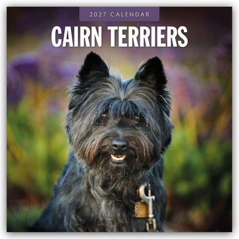 Cairn Terriers – Cairn Terrier 2027 – 16-Monatskalender