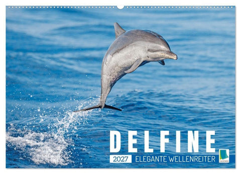 Delfine: Elegante Wellenreiter (Wandkalender 2027 DIN A2 quer), CALVENDO Monatskalender