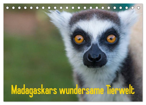 Madagaskars wundersame Tierwelt (Tischkalender 2026 DIN A5 quer), CALVENDO Monatskalender