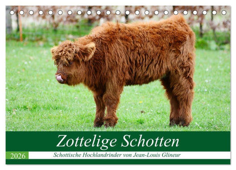 Zottelige Schotten (Tischkalender 2026 DIN A5 quer), CALVENDO Monatskalender