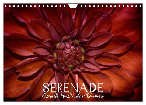 Serenade - Visuelle Musik der Blumen (Wandkalender 2026 DIN A4 quer), CALVENDO Monatskalender
