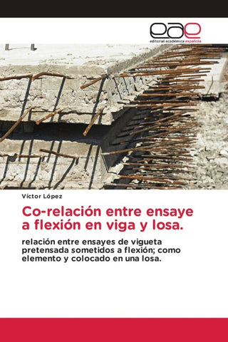 Co-relación entre ensaye a flexión en viga y losa.