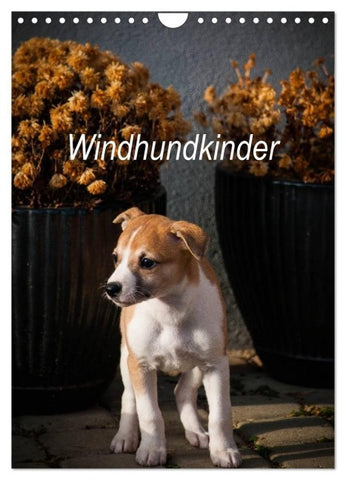 Windhundkinder (Wandkalender 2027 DIN A4 hoch), CALVENDO Monatskalender