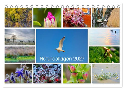 Naturcollagen 2027 (Tischkalender 2027 DIN A5 quer), CALVENDO Monatskalender