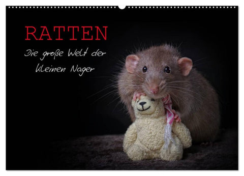 Ratten. Die große Welt der kleinen Nager (Wandkalender 2026 DIN A2 quer), CALVENDO Monatskalender
