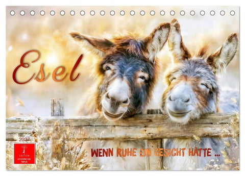 Esel - Wenn Ruhe ein Gesicht hätte (Tischkalender 2027 DIN A5 quer), CALVENDO Monatskalender