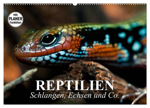 Reptilien. Schlangen, Echsen und Co. (Wandkalender 2026 DIN A2 quer), CALVENDO Monatskalender