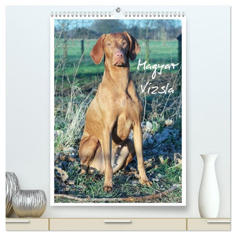 Magyar Vizsla (hochwertiger Premium Wandkalender 2026 DIN A2 hoch), Kunstdruck in Hochglanz
