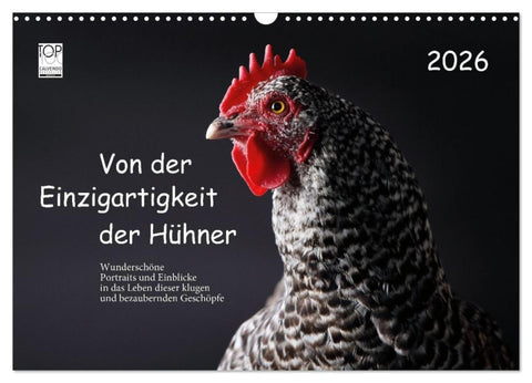 Von der Einzigartigkeit der Hühner 2026 (Wandkalender 2026 DIN A3 quer), CALVENDO Monatskalender